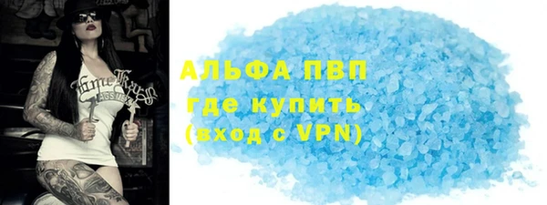 гашик Новодвинск