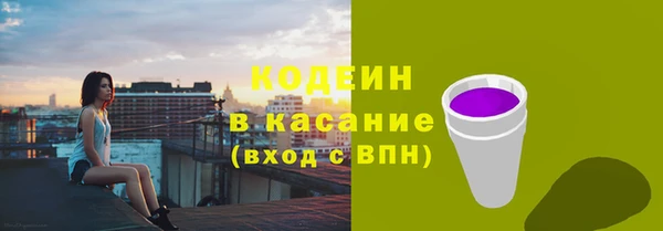 гашик Новодвинск