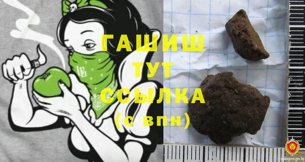 гашик Новодвинск