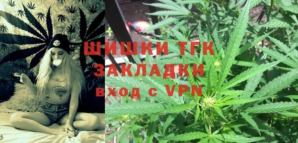 гашик Новодвинск