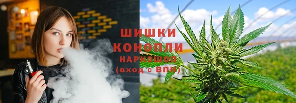 гашик Новодвинск