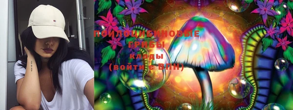 первитин Новозыбков
