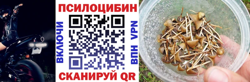 Псилоцибиновые грибы Cubensis  МЕГА вход  Куса 